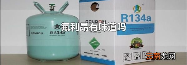 氟利昂有味道吗