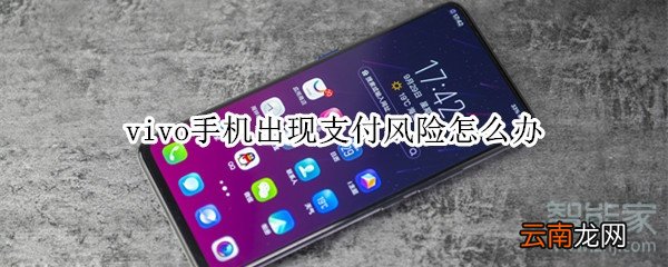 vivo手机出现支付风险怎么办