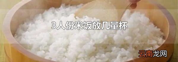 3人份米饭放几量杯