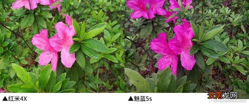 红米4x和魅蓝5s哪个好用？魅蓝5s对比红米4x哪个值得买？