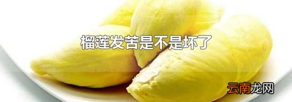榴莲发苦是不是坏了