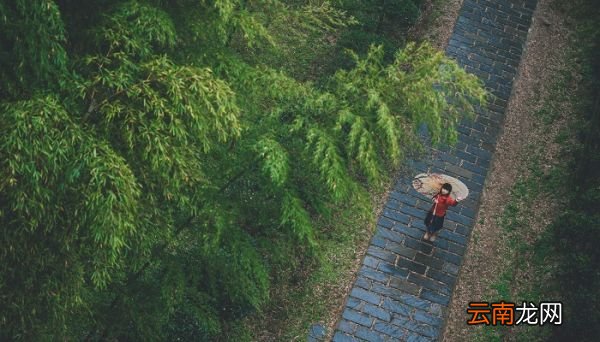 竹里馆主旨归纳 竹里馆的主旨