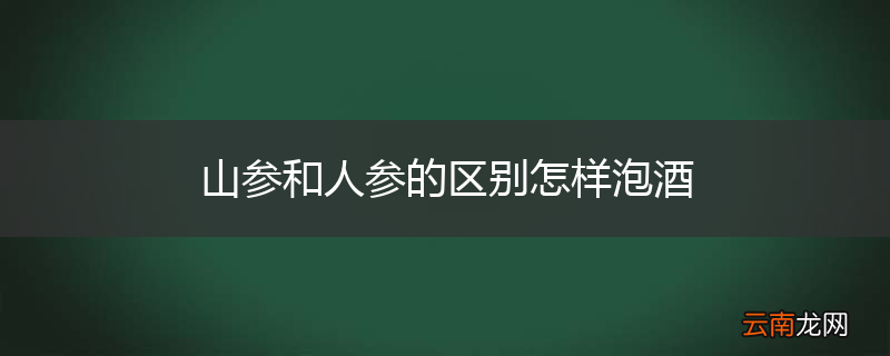 山参和人参的区别怎样泡酒