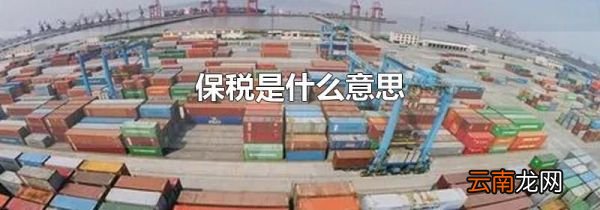 保税是什么意思