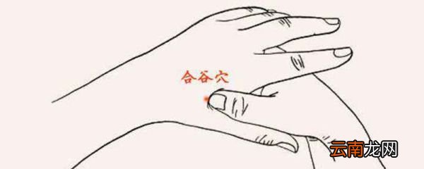 合谷的准确位置图和作用 日常按摩合谷穴的好处