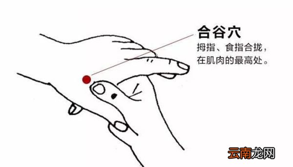 合谷的准确位置图和作用 日常按摩合谷穴的好处