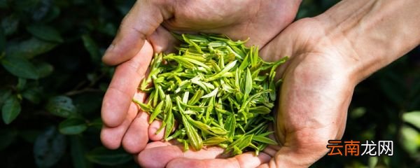 六大茶类 六大茶类的代表茶