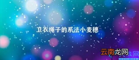卫衣绳子系法小技巧 卫衣绳子的系法小麦穗