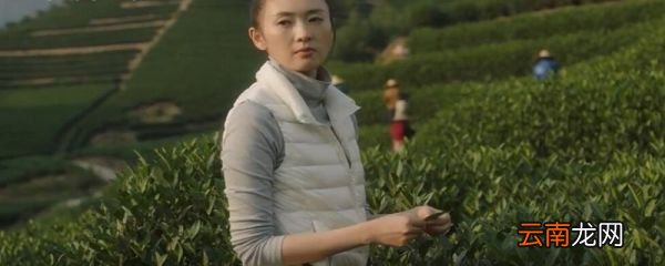 三十而已大结局 三十而已结局如何