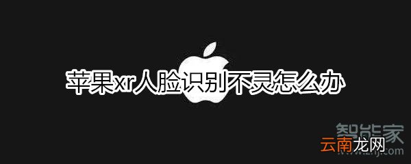 苹果xr人脸识别不灵怎么办