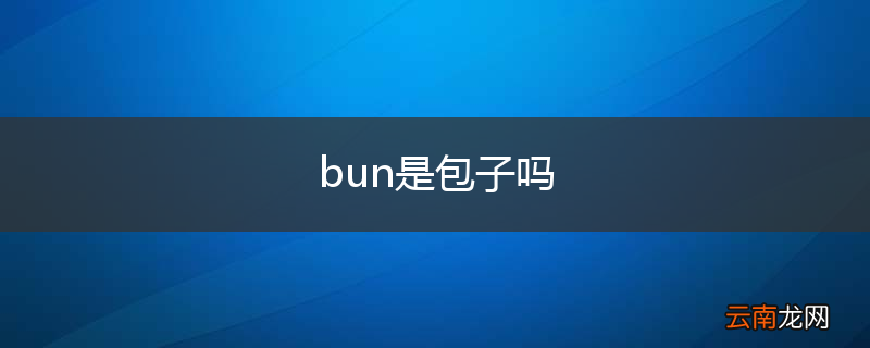 bun是包子吗