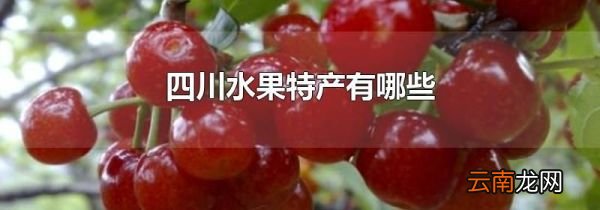 四川水果特产有哪些