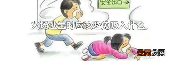 火场逃生时应该避免吸入什么