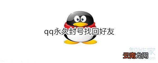 qq永久封号找回好友