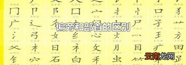 偏旁和部首的区别