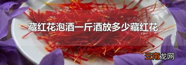 藏红花泡酒一斤酒放多少藏红花