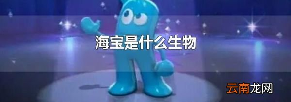 海宝是什么生物