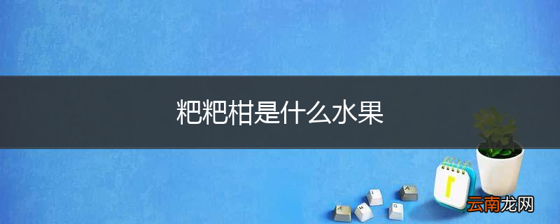 粑粑柑是什么水果