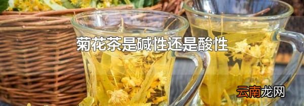 菊花茶是碱性还是酸性