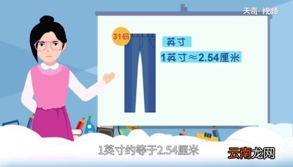 裤子31码是多大腰围 裤子31码是什么意思