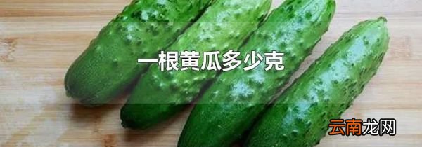 一根黄瓜多少克
