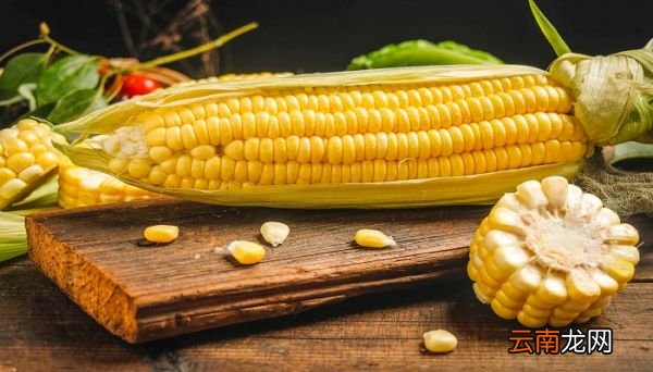 西瓜和玉米能一起吃吗西瓜跟玉米一起吃会怎么样