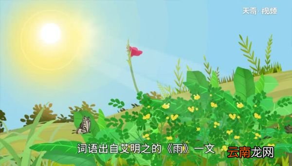 曝晒的意思 曝晒的意思是什么