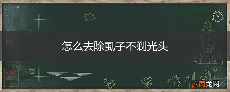 怎么去除虱子不剃光头