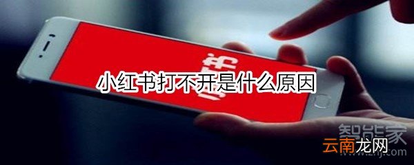 小红书打不开是什么原因