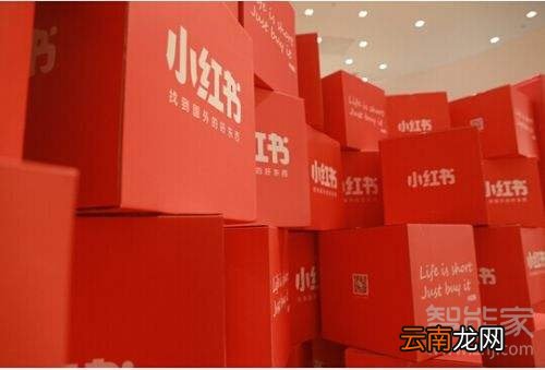 小红书打不开是什么原因
