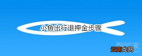 小鱼出行退押金步骤