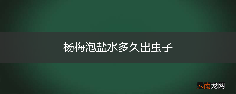 杨梅泡盐水多久出虫子