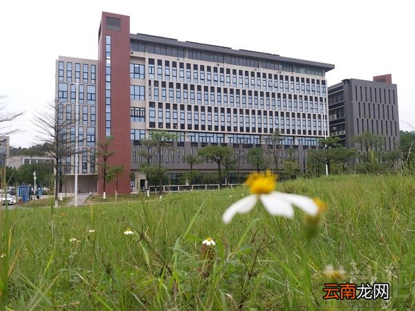 三星c5 pro怎么样？三星c5 pro蓝色评测