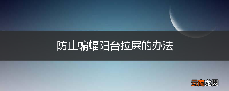 防止蝙蝠阳台拉屎的办法