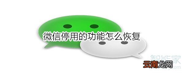 微信停用的功能怎么恢复