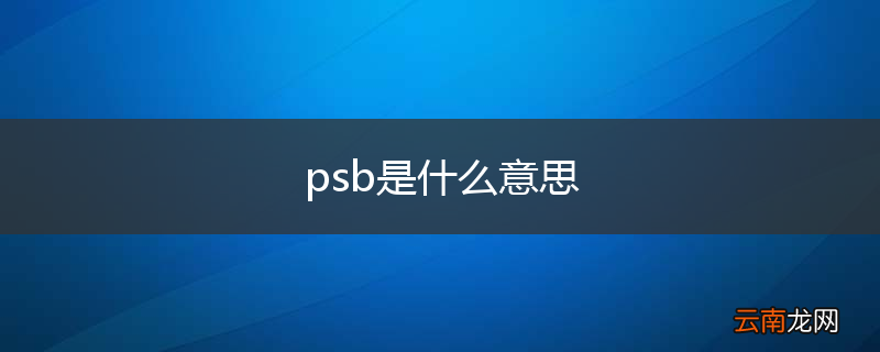 psb是什么意思