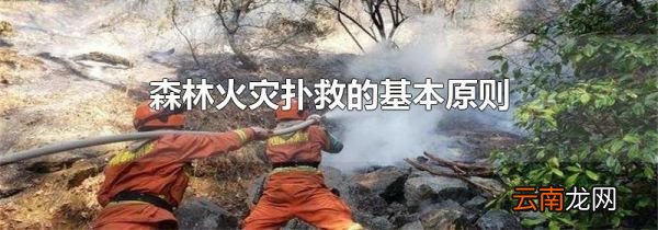 森林火灾扑救的基本原则