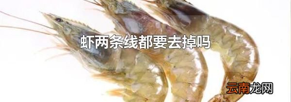 虾两条线都要去掉吗