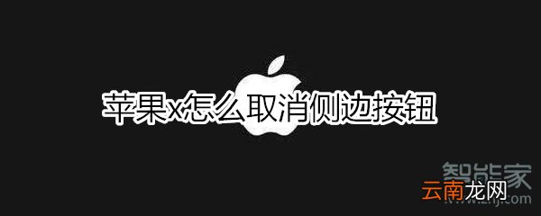 苹果x怎么取消侧边按钮