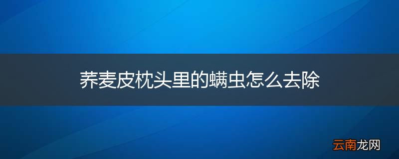 荞麦皮枕头里的螨虫怎么去除