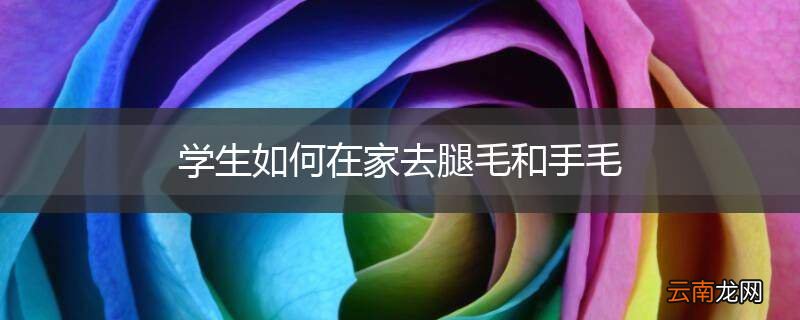 学生如何在家去腿毛和手毛