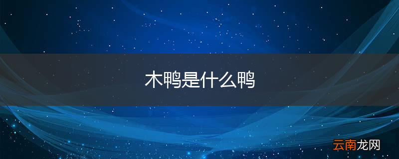木鸭是什么鸭