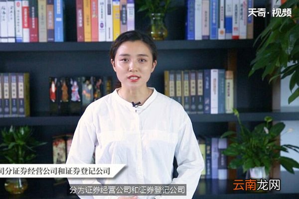 证券公司是做什么的
