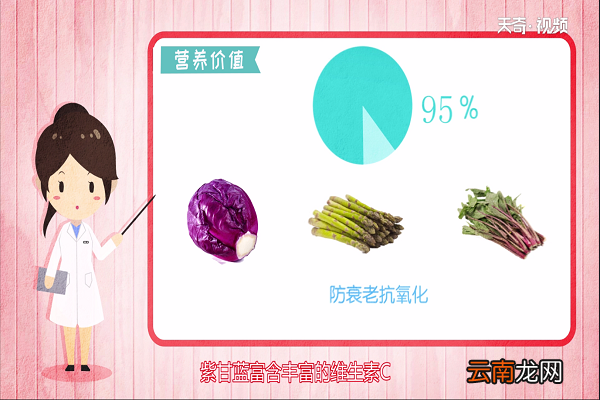 紫甘蓝营养价值