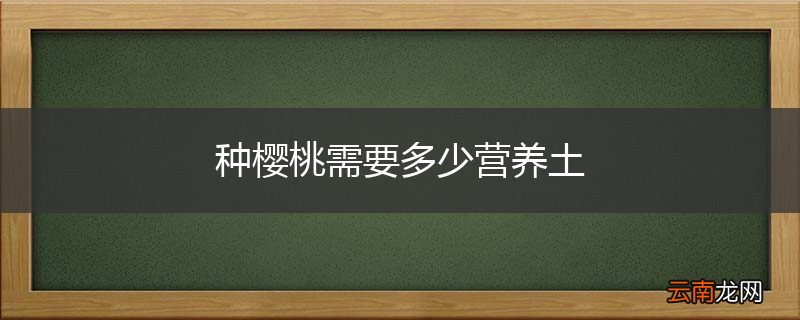 种樱桃需要多少营养土