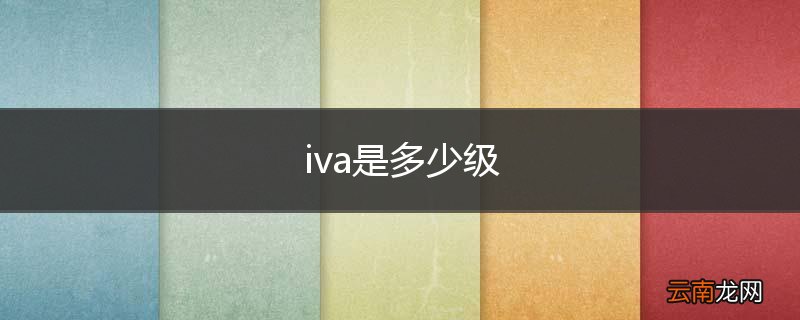 iva是多少级