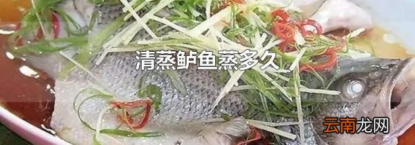 清蒸鲈鱼蒸多久