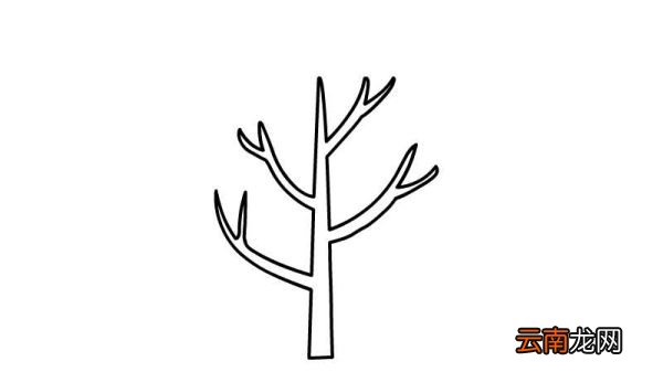 树木简笔画画法树木简笔画怎么画
