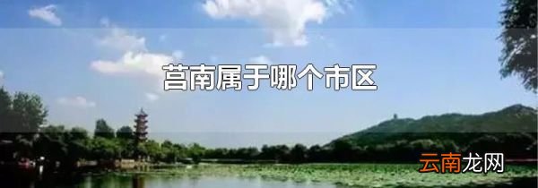 莒南属于哪个市区