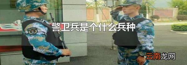 警卫兵是个什么兵种